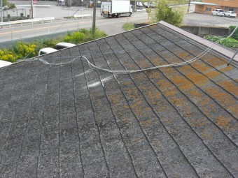 北面屋根全体