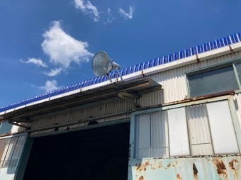 電灯