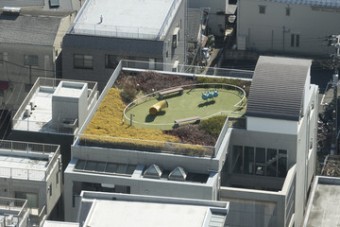 屋上緑化