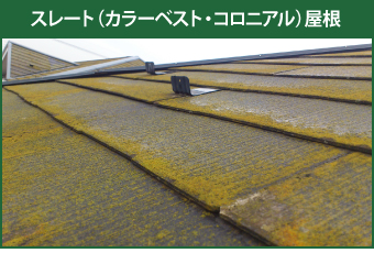 藻の生えたスレート（カラーベスト・コロニアル）屋根