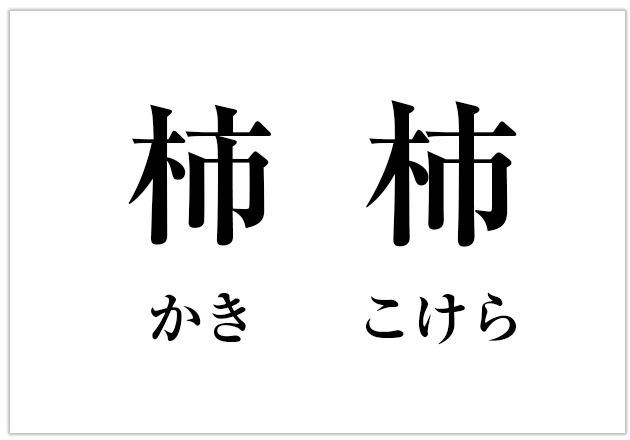 漢字の画数、実は曖昧? 「かき」と「こけら」の意外な真実! 12 %E3%81%8B%E3%81%8D %E3%81%93%E3%81%91%E3%82%89