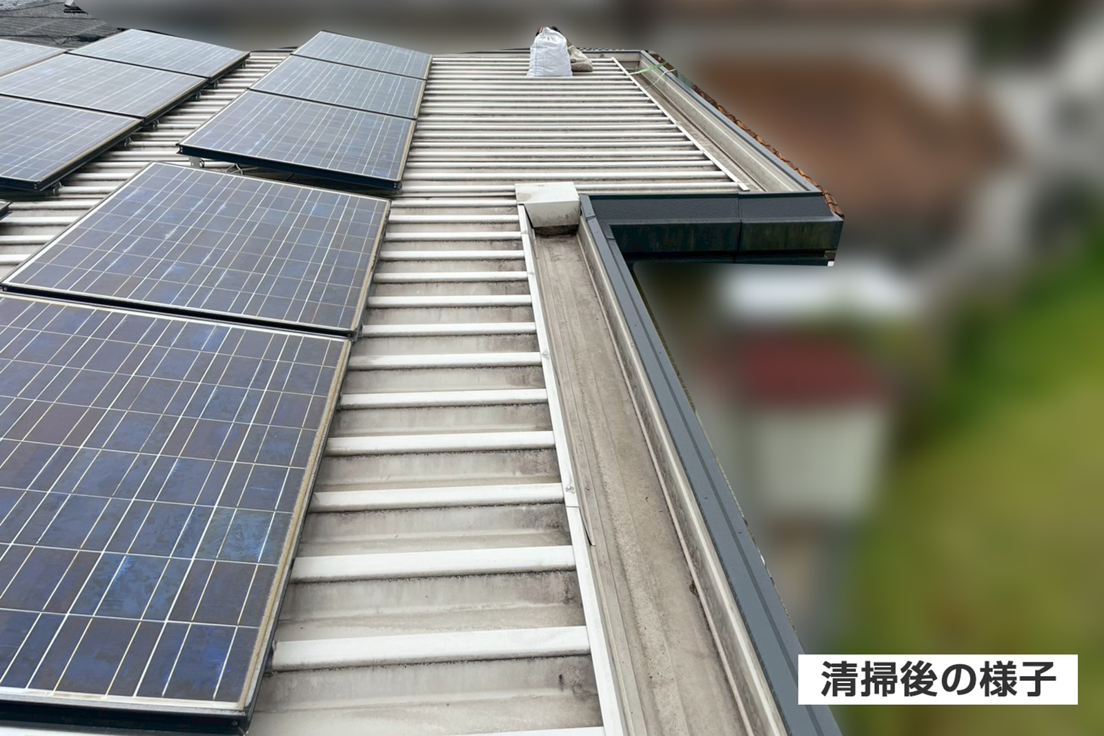 瑞浪市で詰まりが気になる雨樋の清掃点検作業を行いました。劣化や破損はなく清掃のみで問題を解決できました。