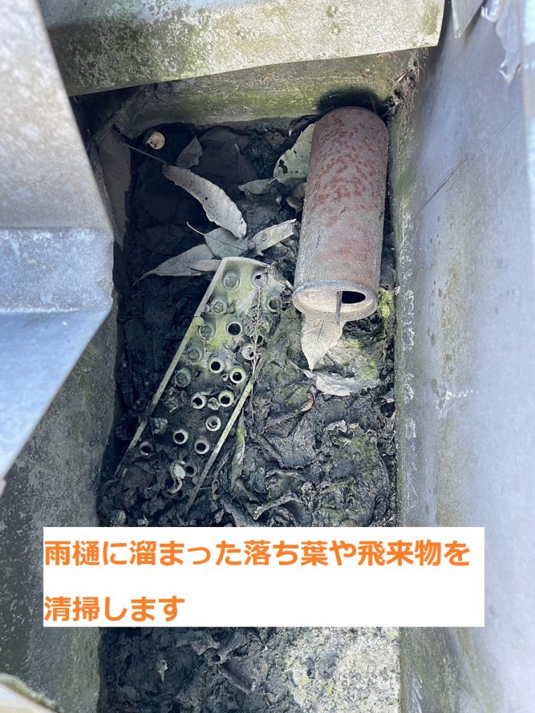 雨樋内の堆積物