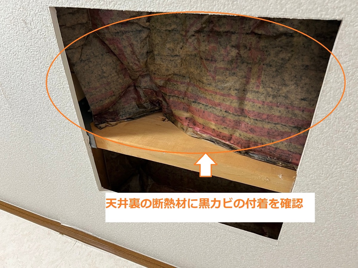 断熱材のカビ