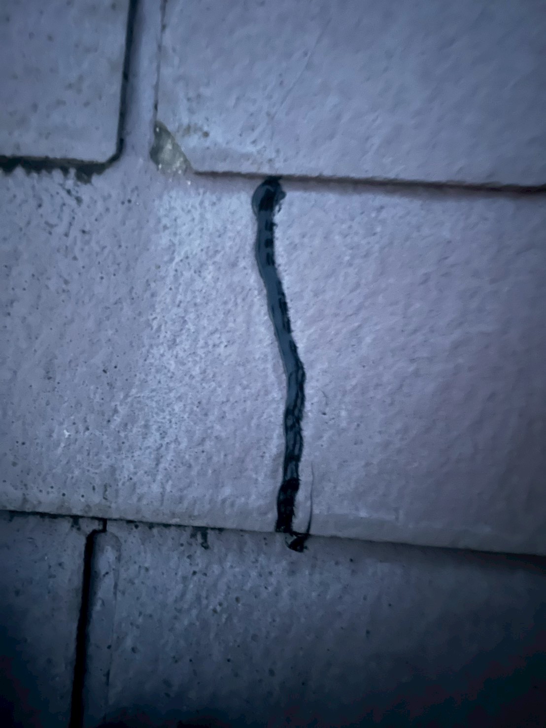 スレート瓦の補修