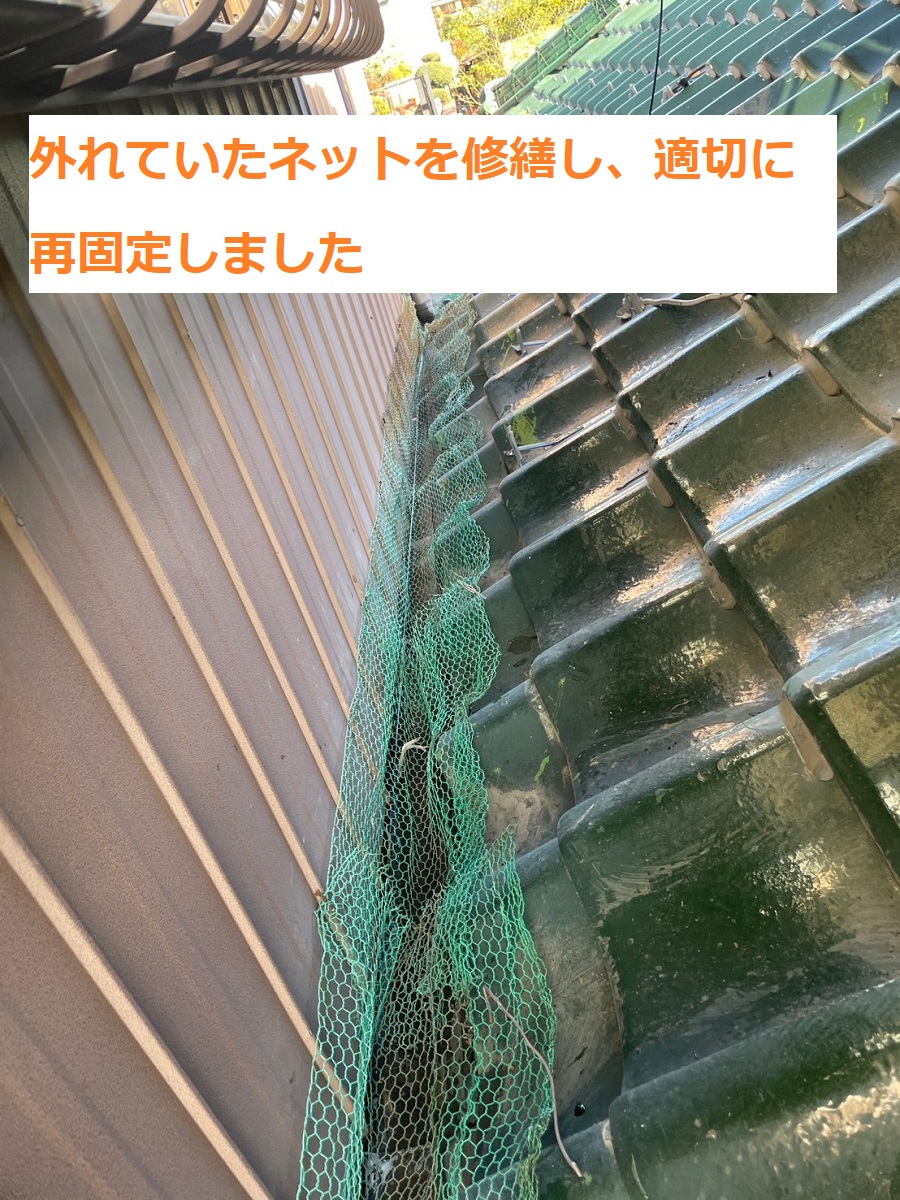 雨樋補修12